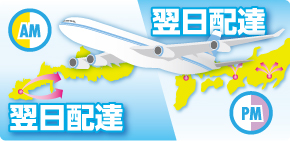 翌日配達