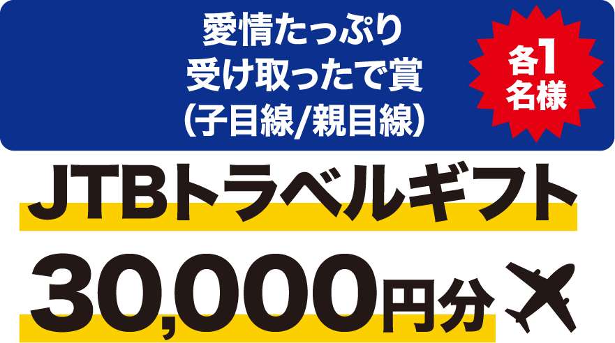 ✈ JTBトラベルギフト30,000円分