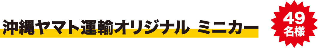 沖縄ヤマト運輸オリジナル ミニカー
